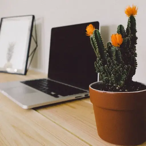 Getting started with Large Language Models and Generative AI